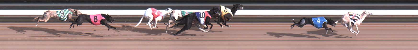 Photo finish for Warragul Race 8