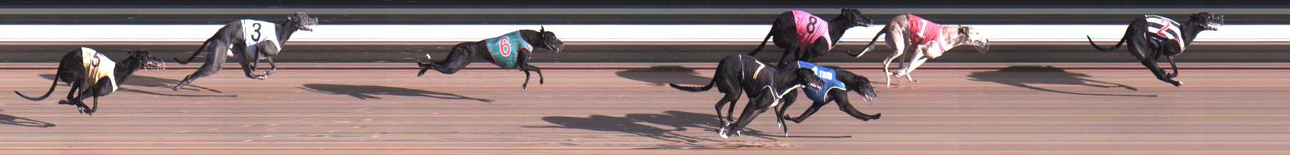 Photo finish for Warragul Race 10