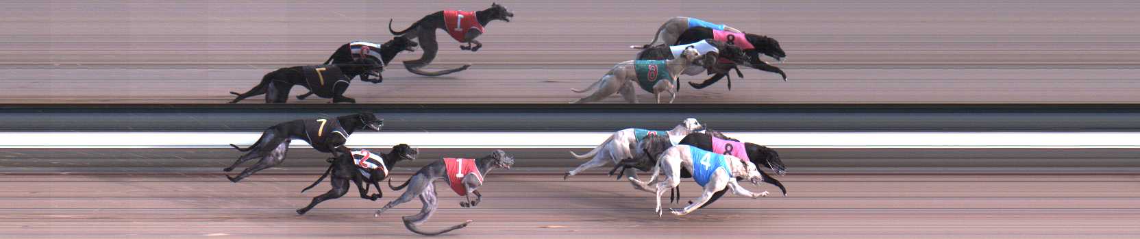 Photo finish for Warragul Race 11