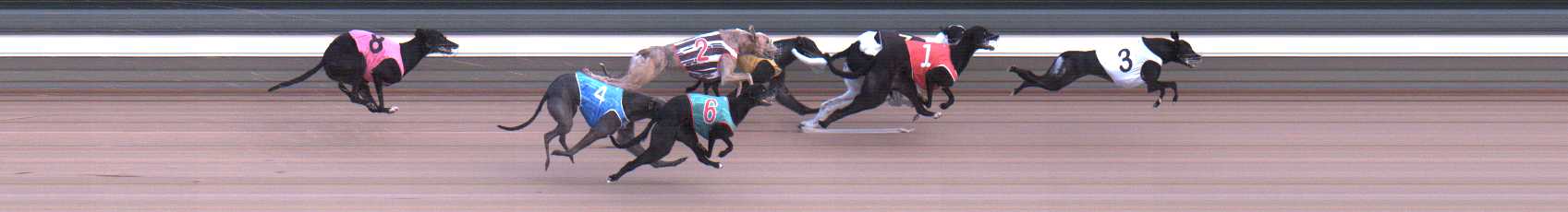 Photo finish for Warragul Race 12