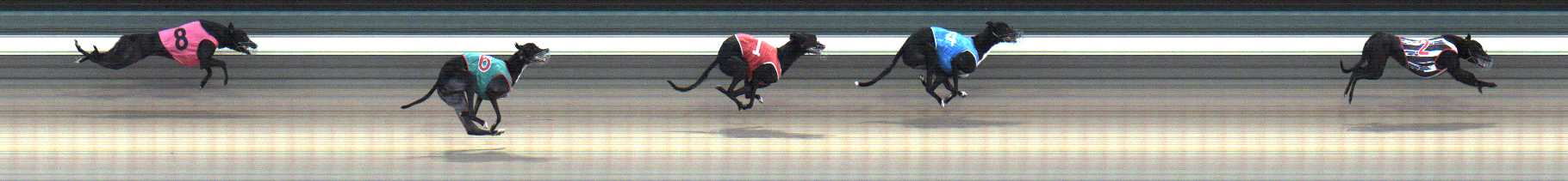 Photo finish for Warragul Race 1