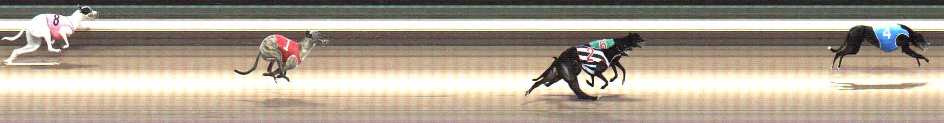 Photo finish for Warragul Race 2