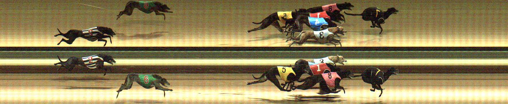 Photo finish for Warragul Race 3