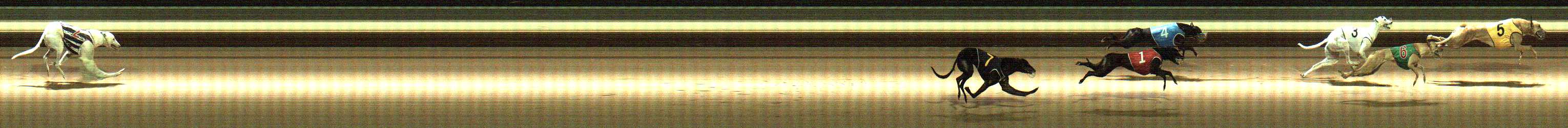 Photo finish for Warragul Race 4