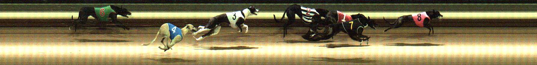 Photo finish for Warragul Race 6