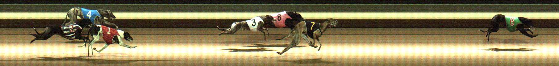 Photo finish for Warragul Race 7