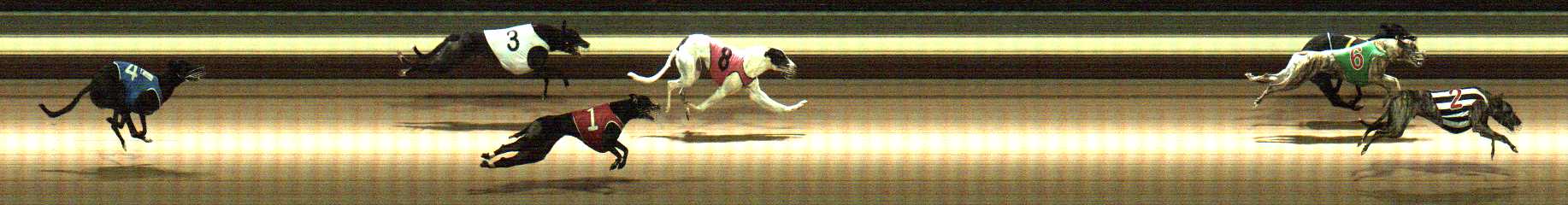 Photo finish for Warragul Race 8