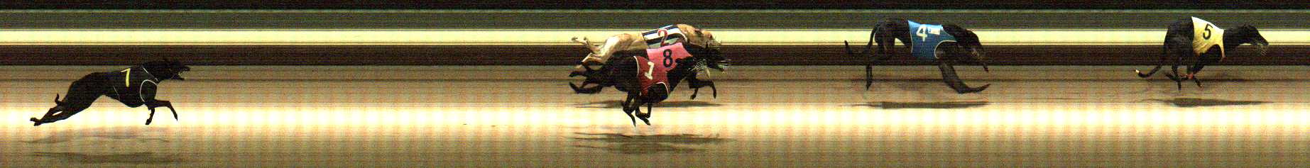 Photo finish for Warragul Race 9