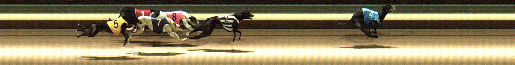 Photo finish for Warragul Race 10