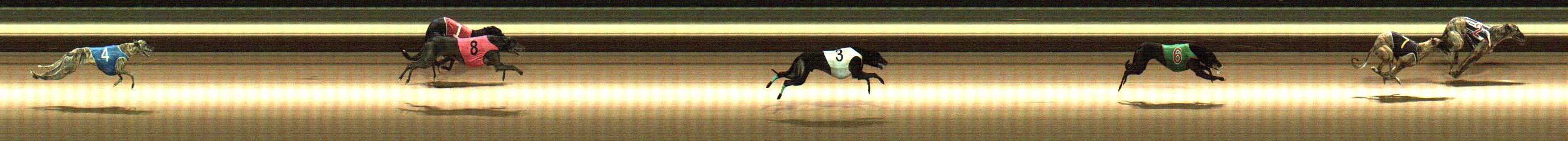 Photo finish for Warragul Race 11