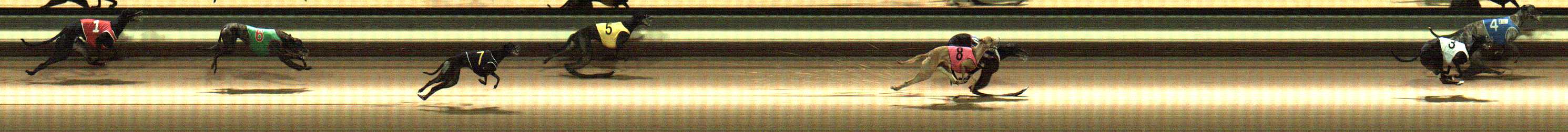 Photo finish for Warragul Race 2