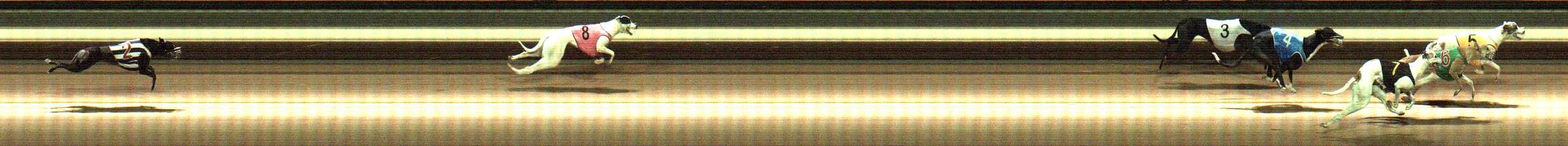 Photo finish for Warragul Race 3