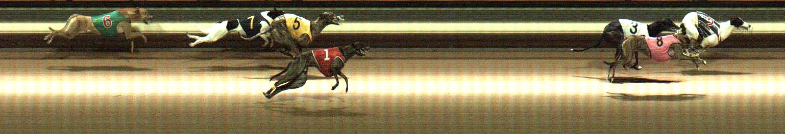 Photo finish for Warragul Race 4
