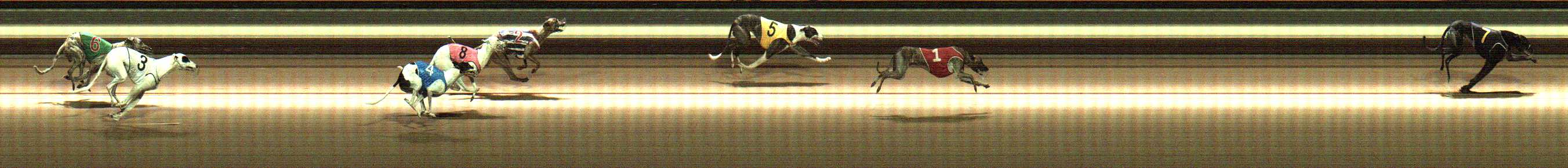 Photo finish for Warragul Race 5