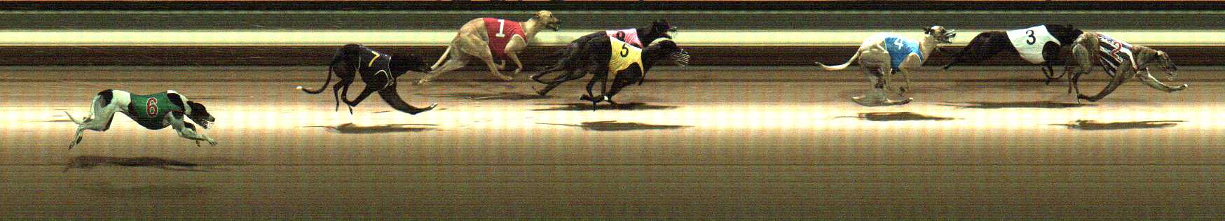 Photo finish for Warragul Race 6