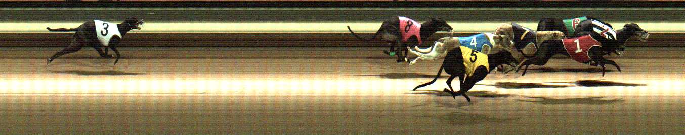 Photo finish for Warragul Race 8
