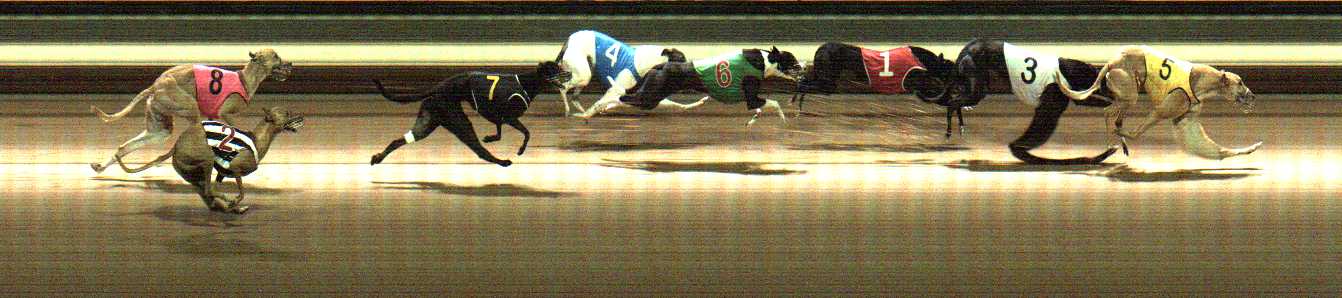 Photo finish for Warragul Race 9