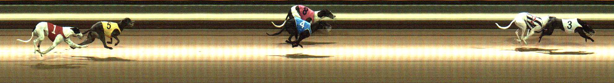 Photo finish for Warragul Race 10