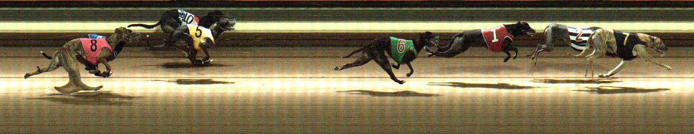 Photo finish for Warragul Race 11