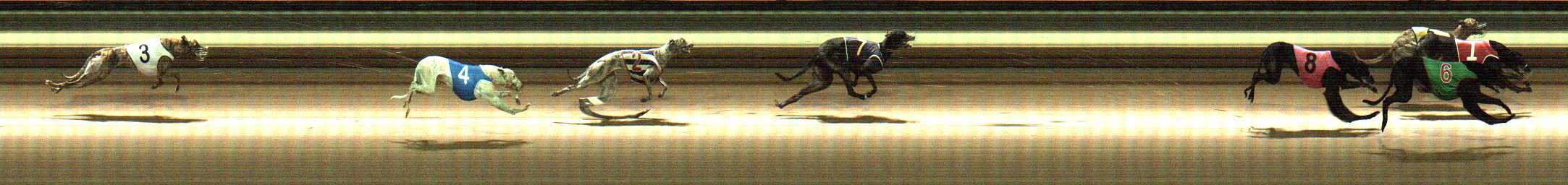 Photo finish for Warragul Race 12