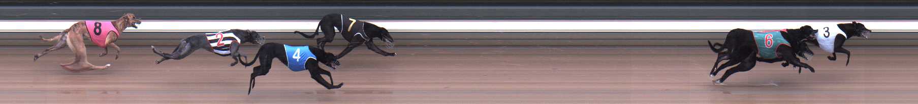 Photo finish for Warragul Race 1