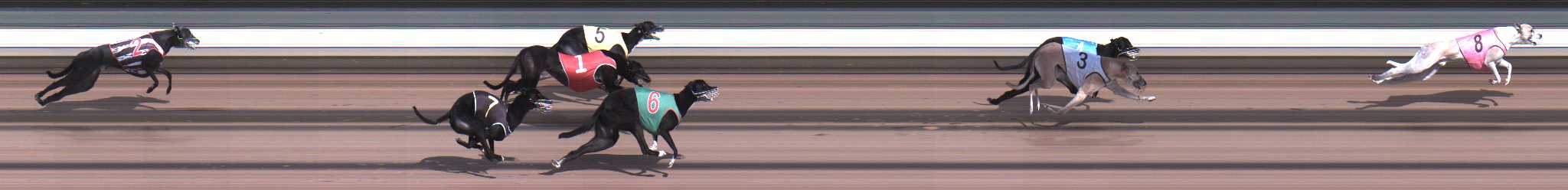 Photo finish for Warragul Race 2