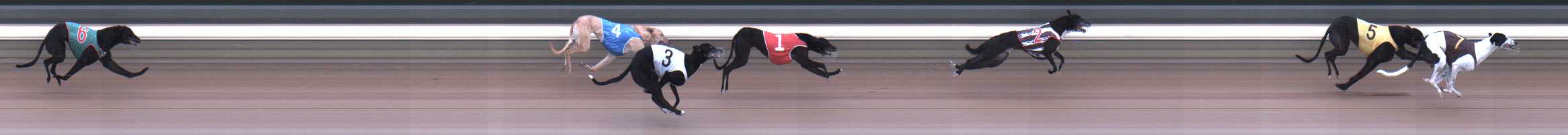 Photo finish for Warragul Race 3