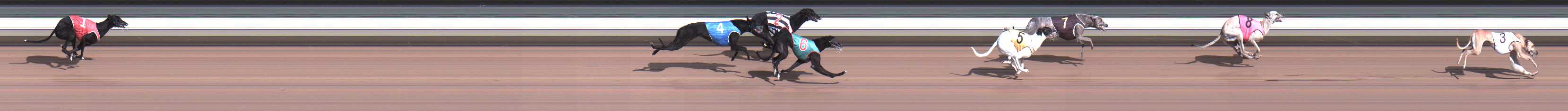 Photo finish for Warragul Race 4