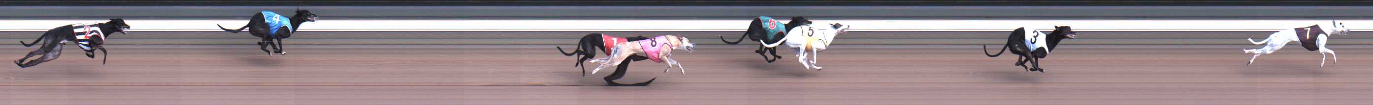Photo finish for Warragul Race 5