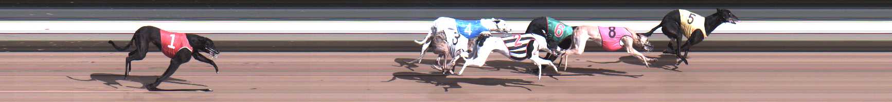 Photo finish for Warragul Race 6