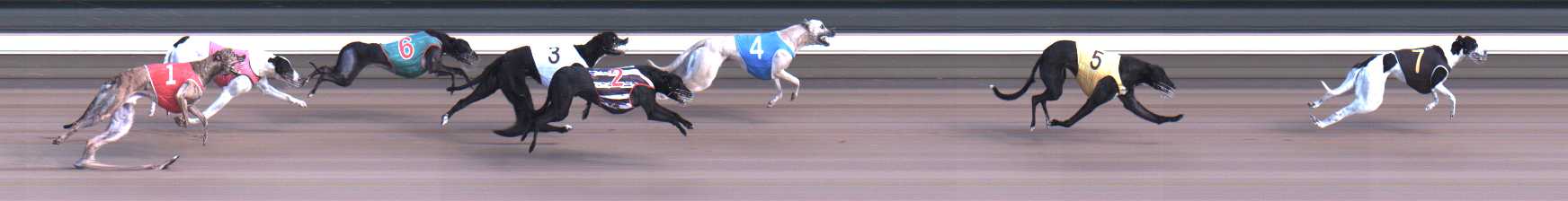 Photo finish for Warragul Race 8