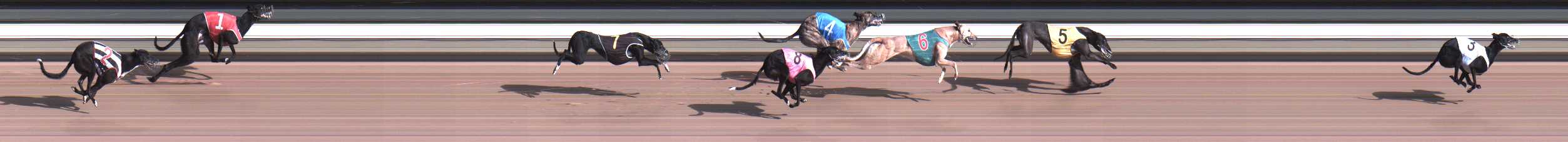 Photo finish for Warragul Race 9
