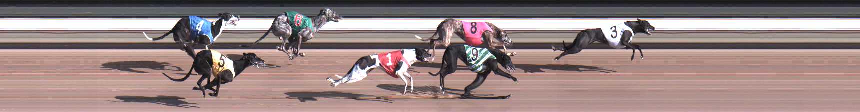 Photo finish for Warragul Race 10