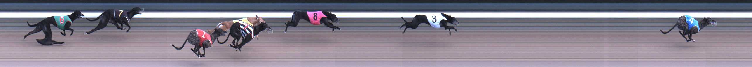 Photo finish for Warragul Race 11