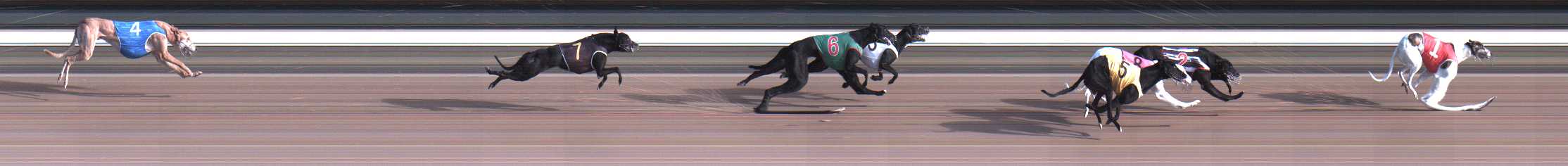Photo finish for Warragul Race 12