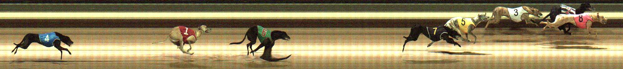 Photo finish for Warragul Race 1