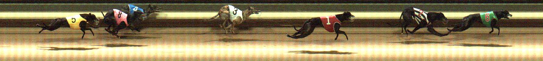 Photo finish for Warragul Race 2