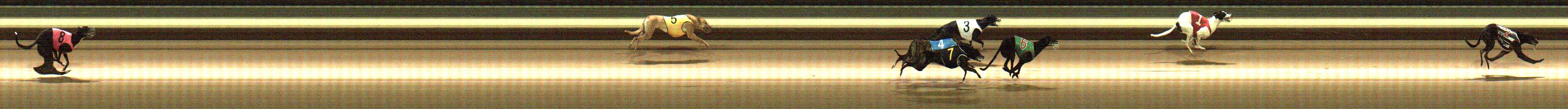 Photo finish for Warragul Race 3