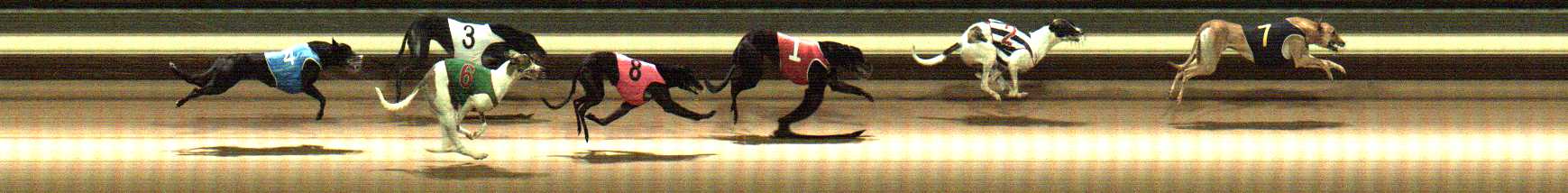 Photo finish for Warragul Race 4