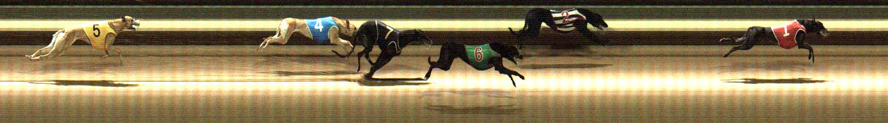 Photo finish for Warragul Race 5