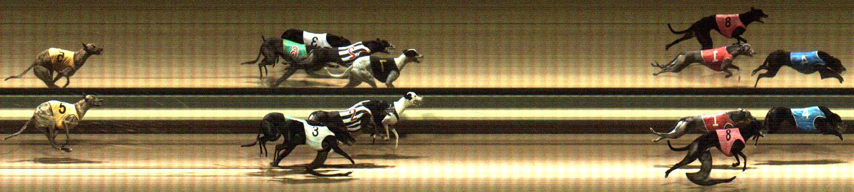 Photo finish for Warragul Race 6