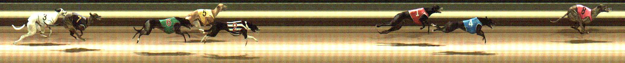 Photo finish for Warragul Race 7