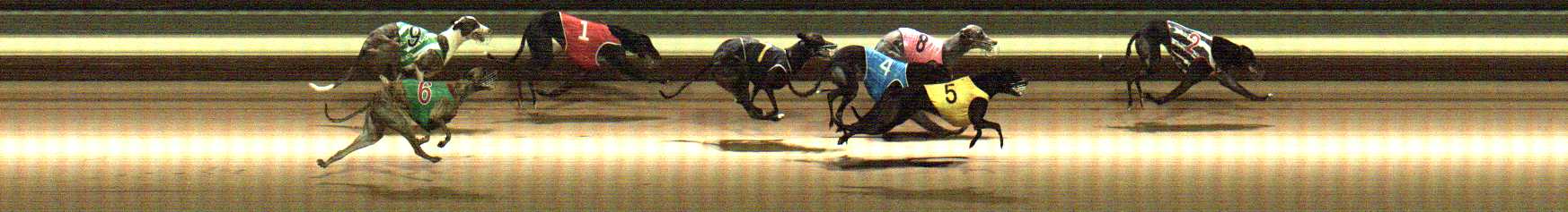 Photo finish for Warragul Race 8