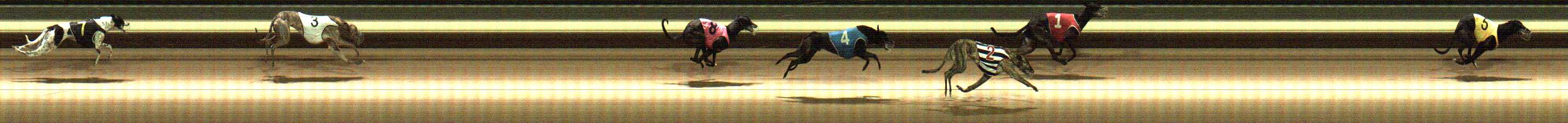 Photo finish for Warragul Race 9