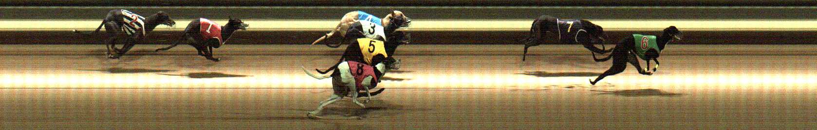 Photo finish for Warragul Race 10