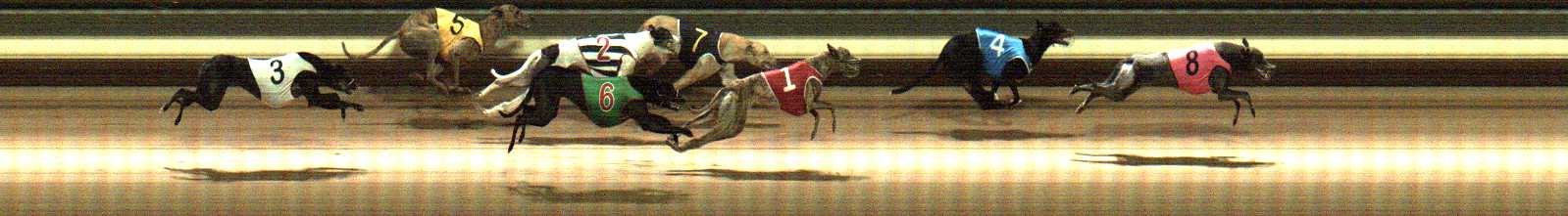 Photo finish for Warragul Race 11