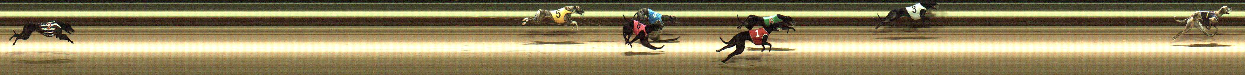 Photo finish for Warragul Race 1