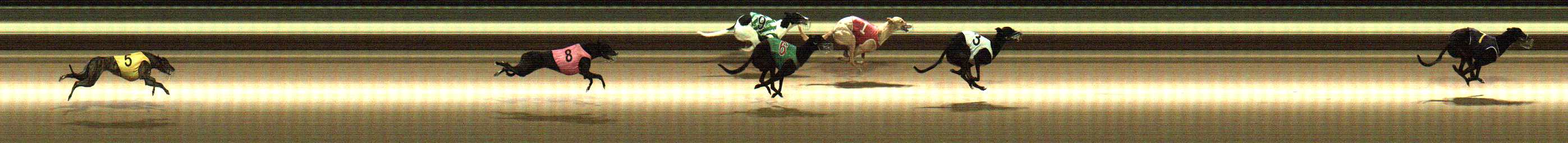 Photo finish for Warragul Race 2