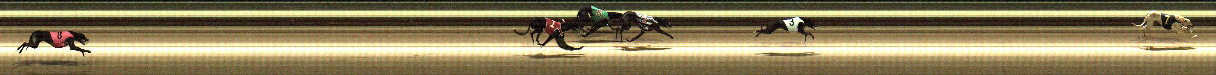 Photo finish for Warragul Race 3