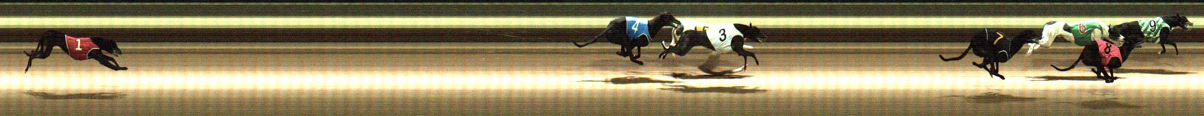 Photo finish for Warragul Race 4